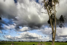 皇马vs拜仁的最新赛程安排及对决看点是什么?