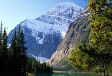 卡利亚里足球俱乐部有哪些独特的发展故事和赛场表现?